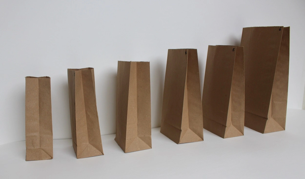 takeout paper bag size